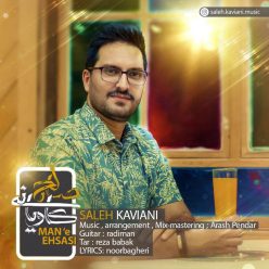 دانلود آهنگ صالح کاویانی منه احساسی  با کیفیت 320